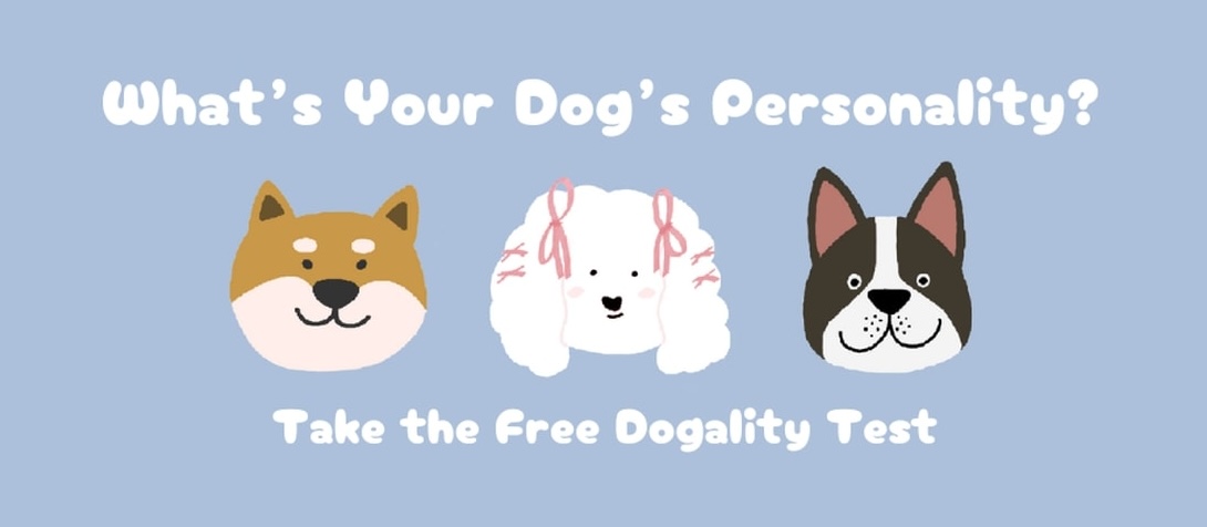 Dog calorie and treat calculator with RER/MER formulas